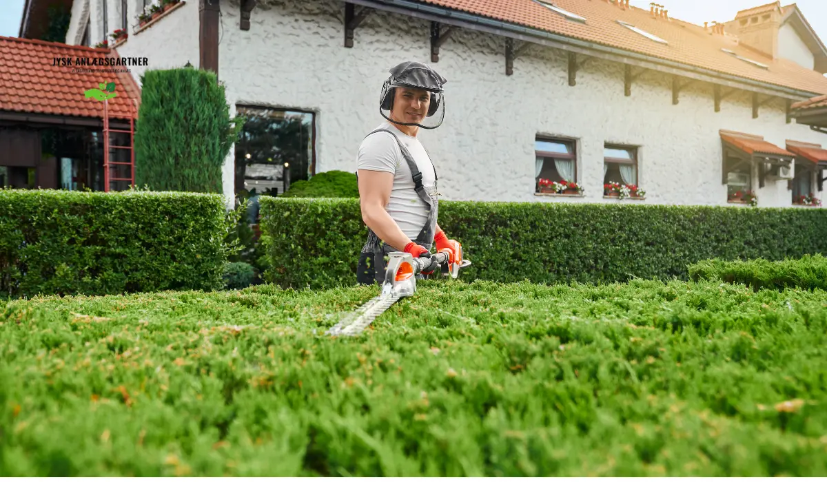 Sådan vedligeholder du en nyanlagt græsplæne i Danmark