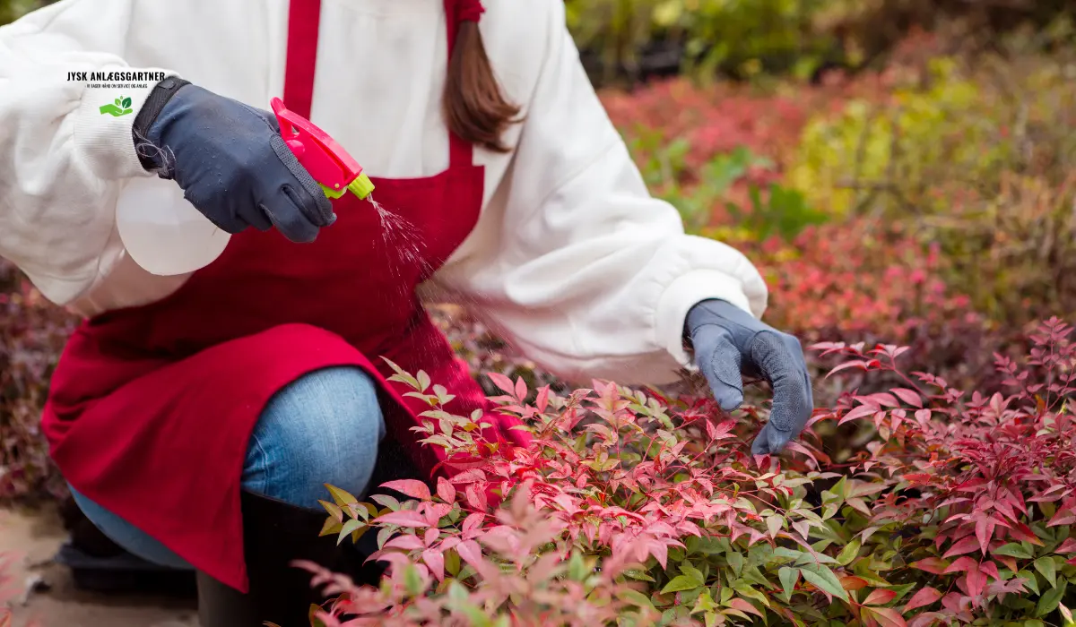 Sådan forbereder du haven til vinteren – komplet guide